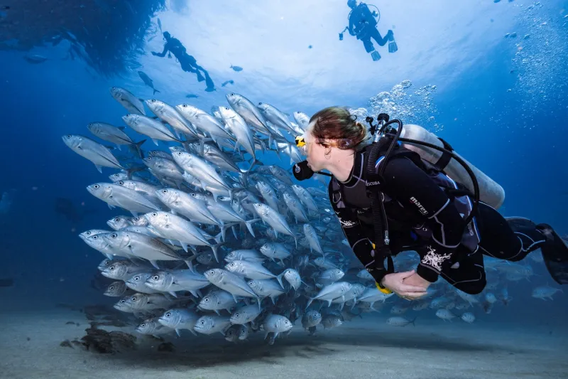 Diving Day in the Red Sea from Hurghada