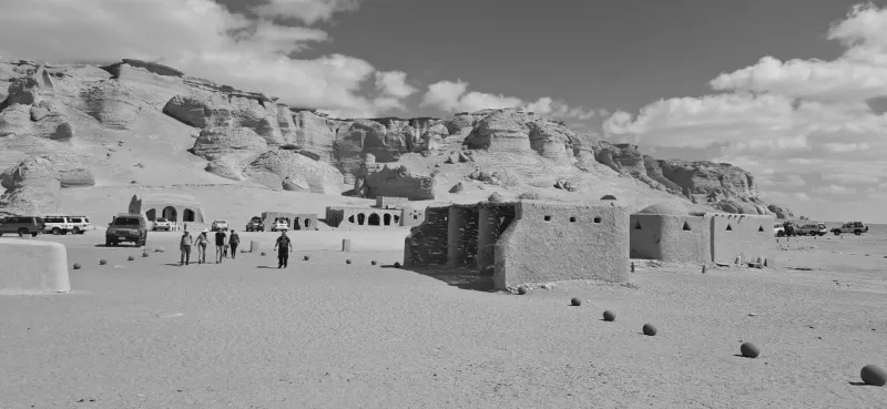 Private Egypt Desert Tour | Fayoum, Wadi El Hitan & White Desert Photo 2