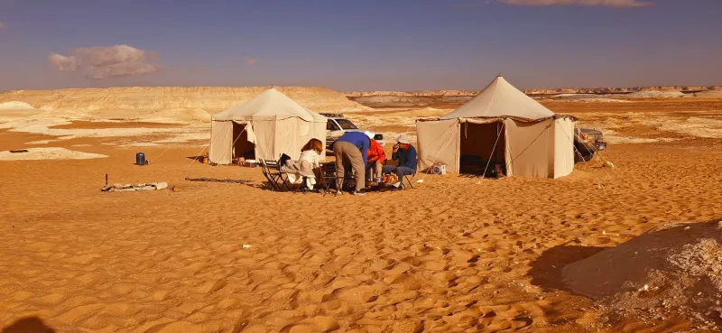 Private Egypt Desert Tour | Fayoum, Wadi El Hitan & White Desert Photo 3